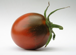 Tomate