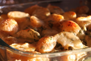Frühlingsgratin